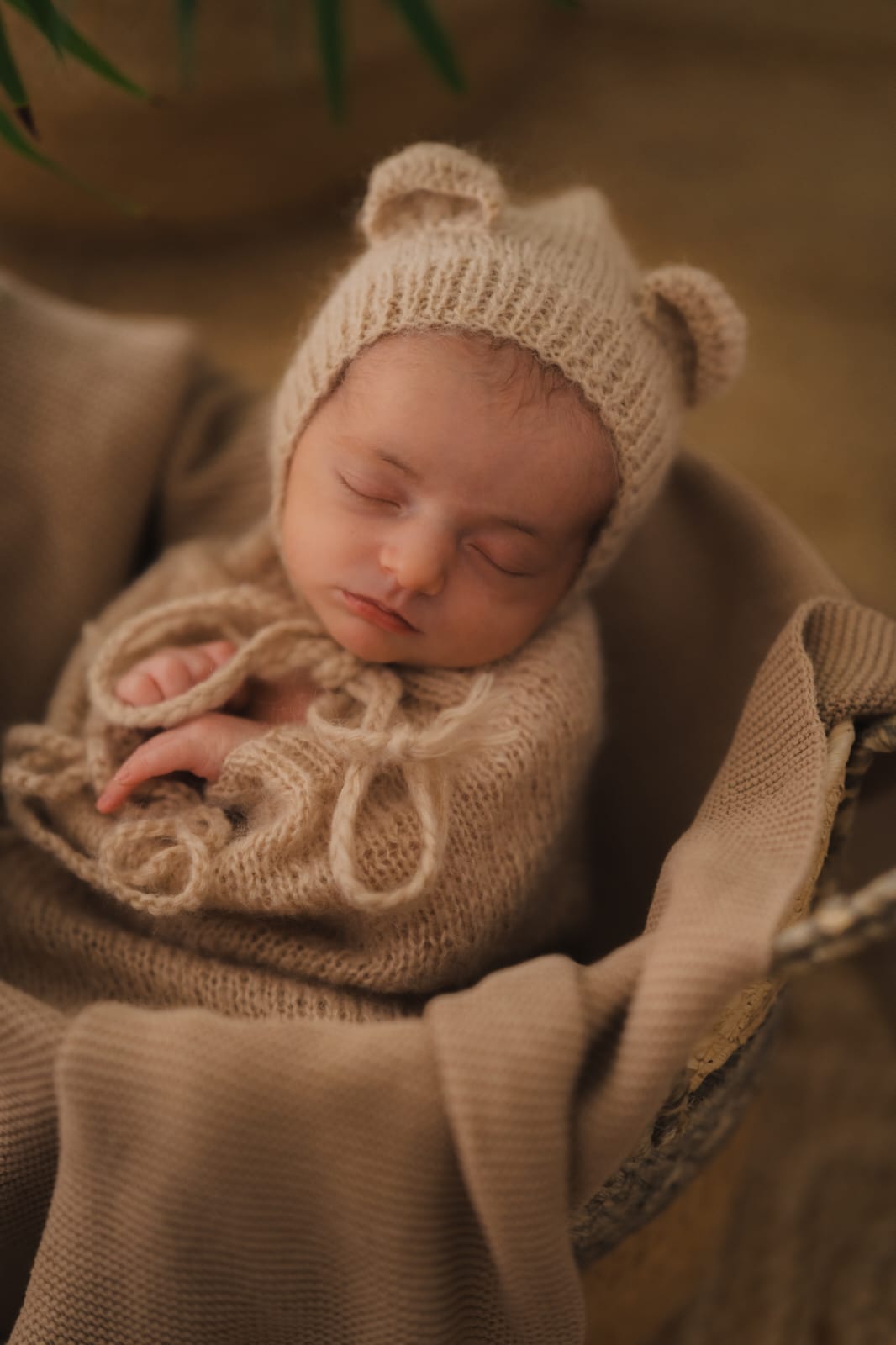 WhatsApp Image 2026 02 08 At 23.29.46 1